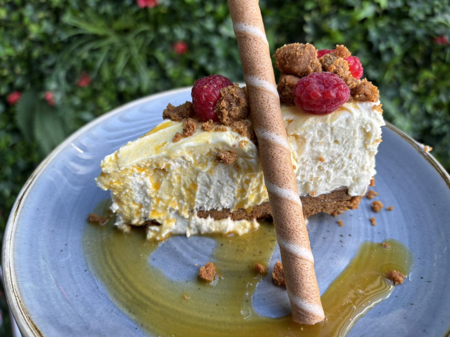 Fresh Cheesecake!