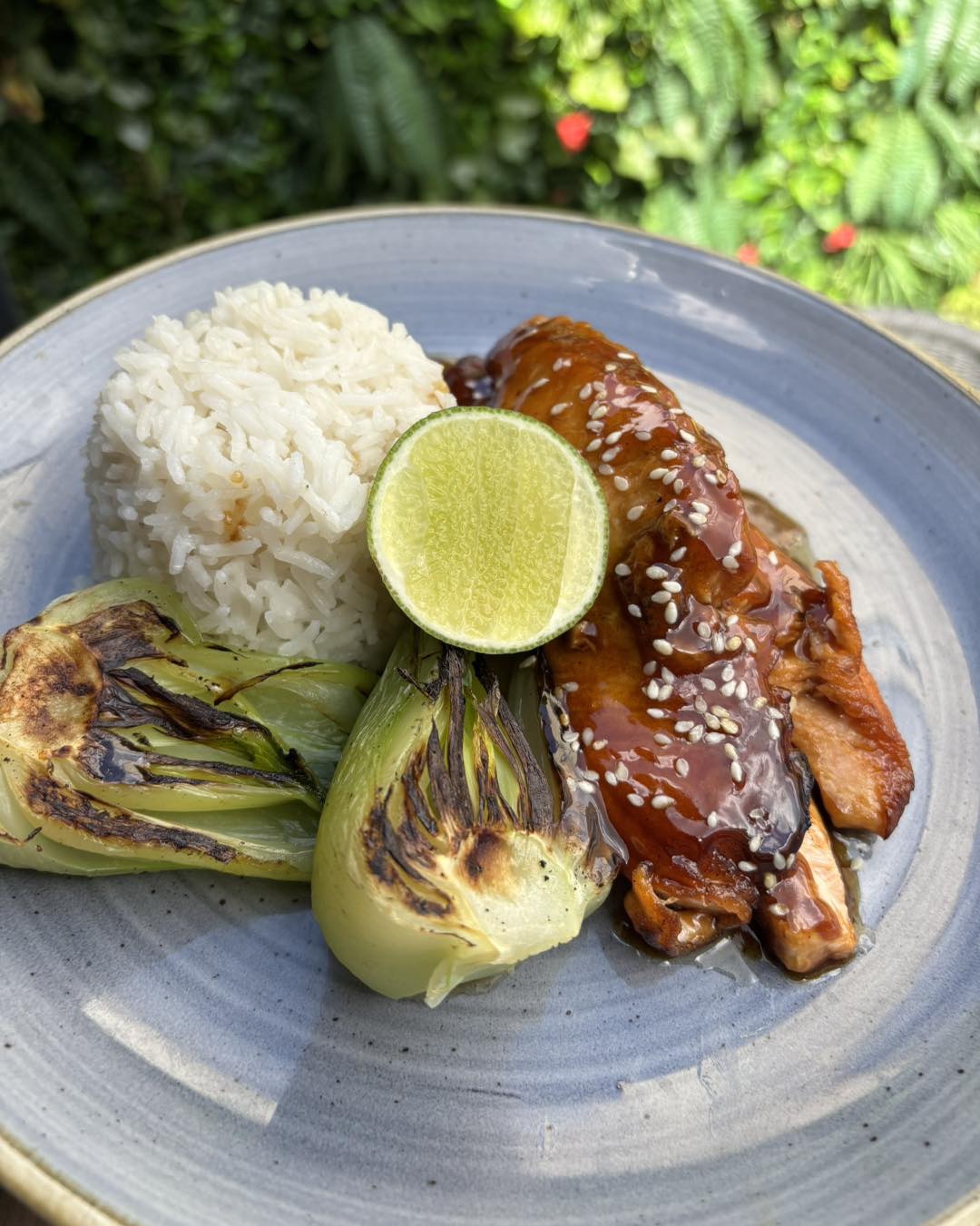 Teriyaki glazed salmon sticky rice, pak choi, toasted sesame 